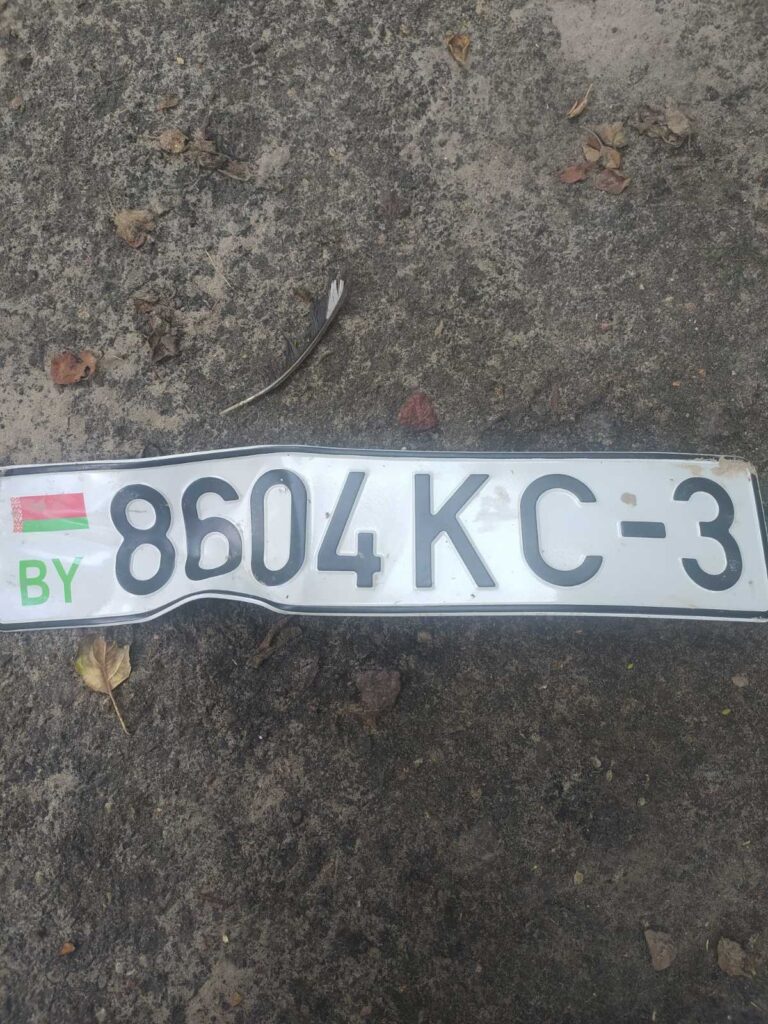 Утерян номер по дороге в деревню Боруск