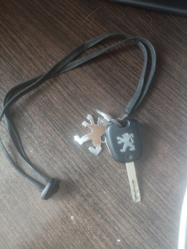 Найдены ключи 02.08 Пионерская,25б