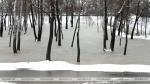 Уровни воды снова приблизились к опасным высоким отметкам на Припяти и ее притоке