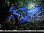 В Калинковичском районе мотоциклист столкнулся с лосем. Водитель погиб на месте