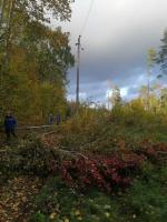 За прошедшие сутки электроснабжение нарушалось в 14 населенных пунктах Калинковичского района