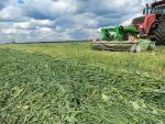 В районе началась заготовка травяных кормов первого укоса 