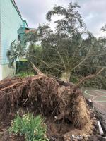 Снова досталось от грозы