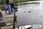 В Мозыре прошли соревнования по судомодельному спорту, в которых участвовали подростки