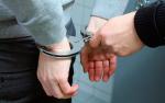 Мозырянину вынесен приговор за незаконное хранение взрывчатых веществ