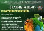 Специальное профилактическое мероприятие «Зеленый щит»