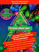 Праздник зимних чудес 16 декабря 2025